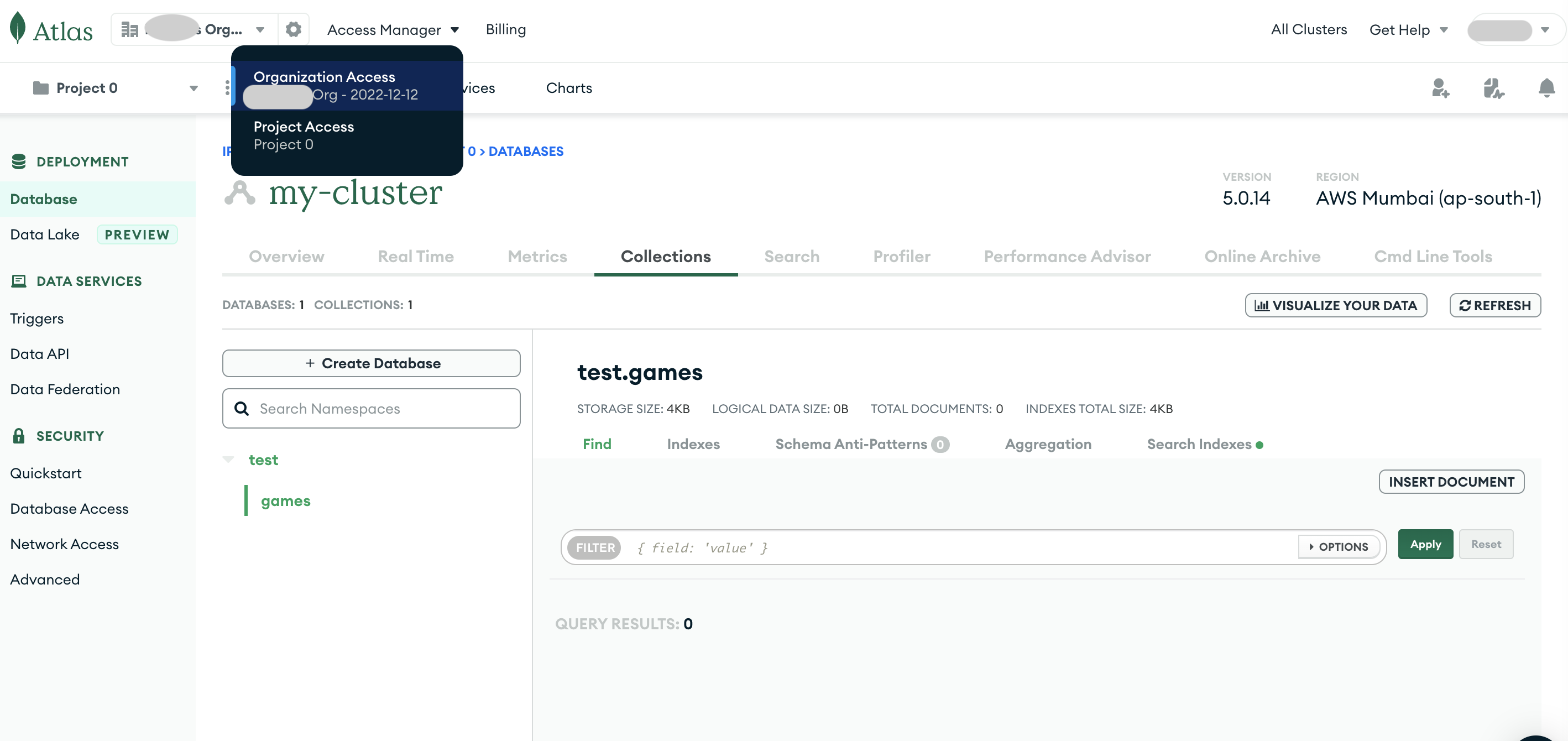 Access manager settings
