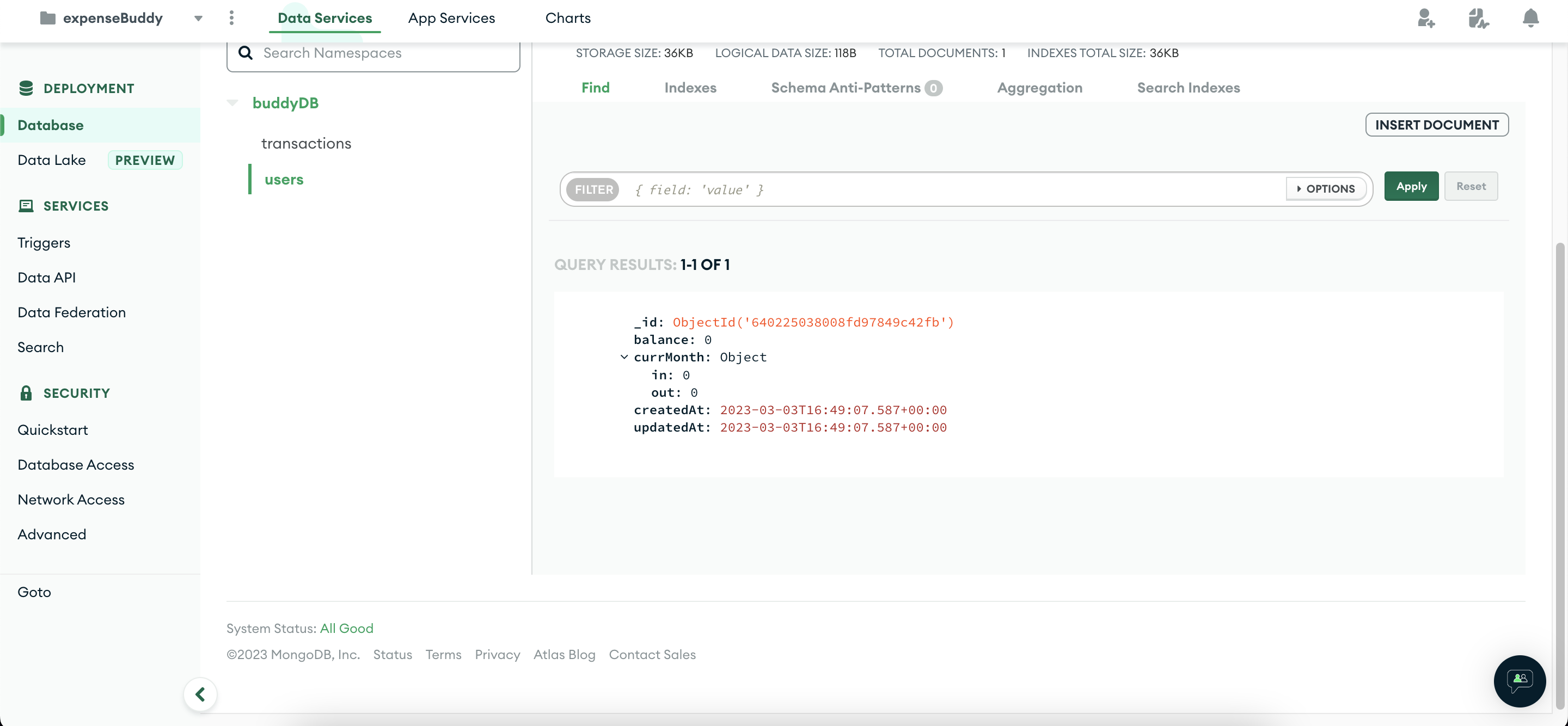user in the users collection of the database